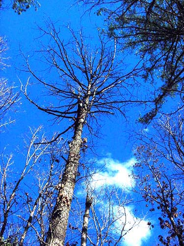 lost creek photo 2