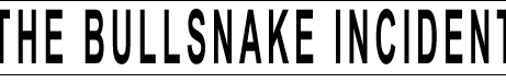bullsnake incident