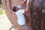 joe sulak